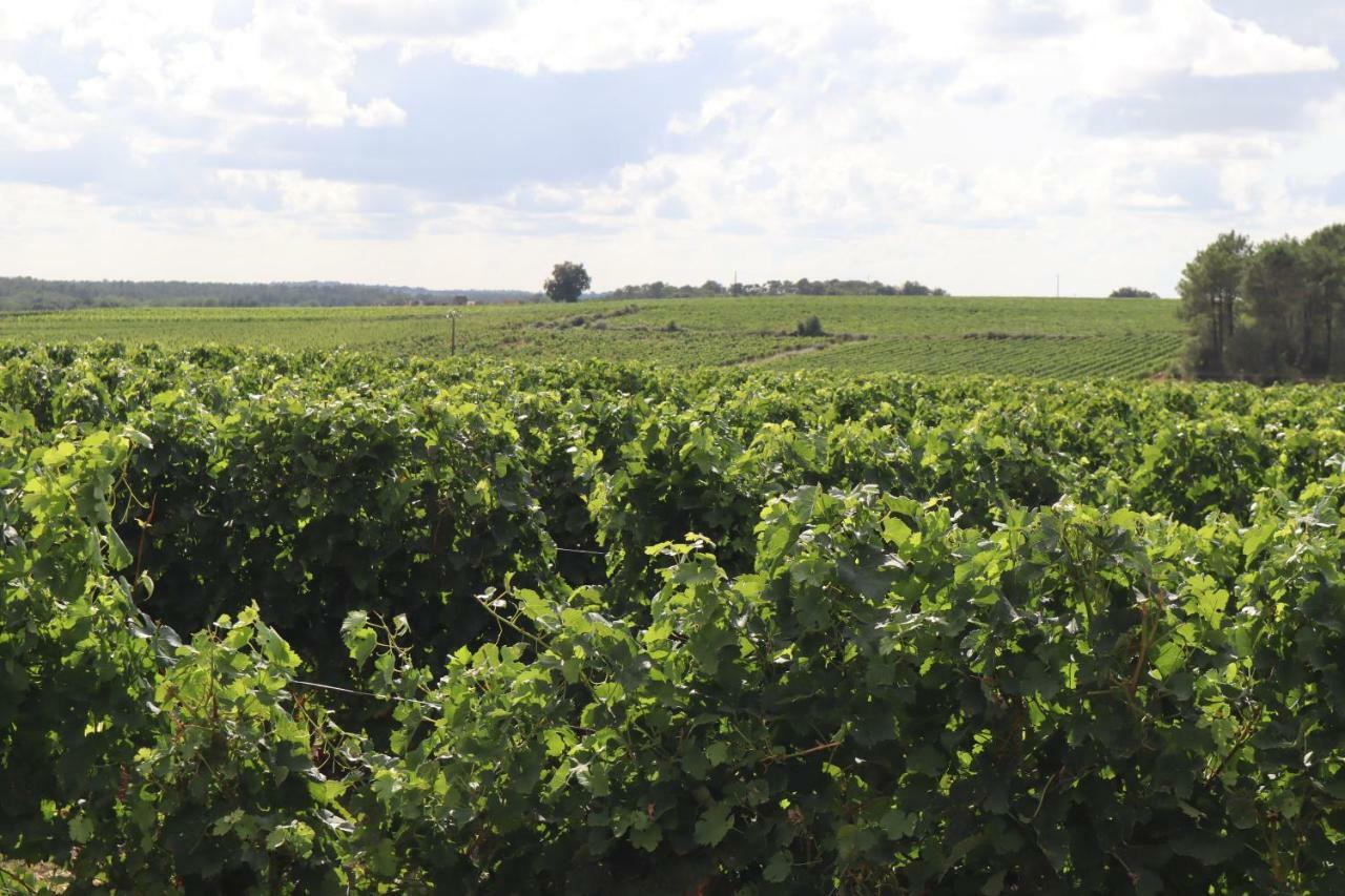 Domaine Des Tilleuls Val-de-Livenne Zewnętrze zdjęcie